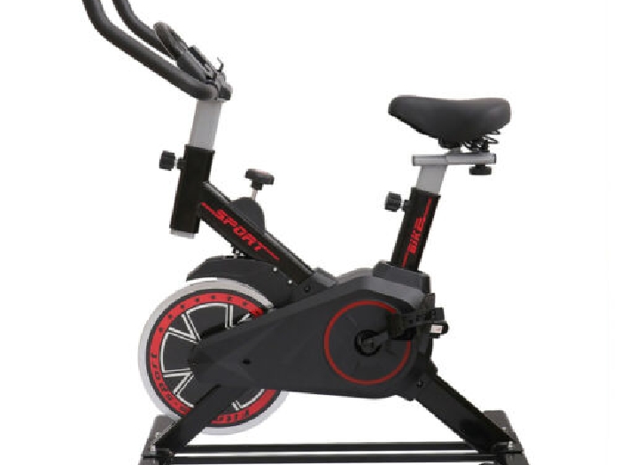 Vélo dappartement Cardio Vélo Spining Réglable Vèlo Biking Intérieur Exercices