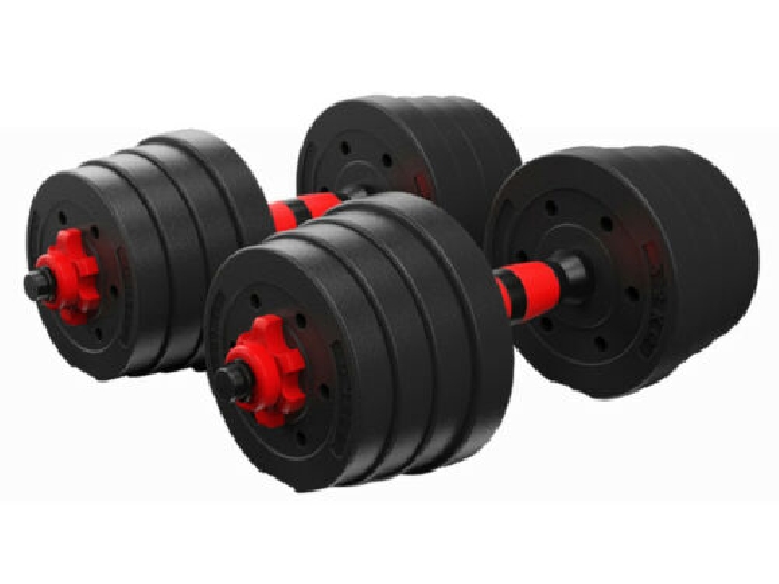 30Kg Haltère Fitness dumbbell exercise Home Gym Biceps Poid Entrainement